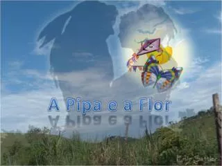 a pipa e a flor