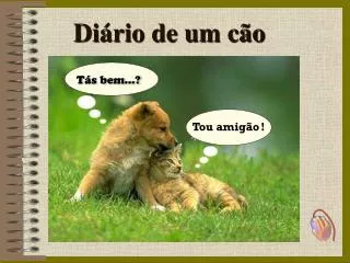 di rio de um c o