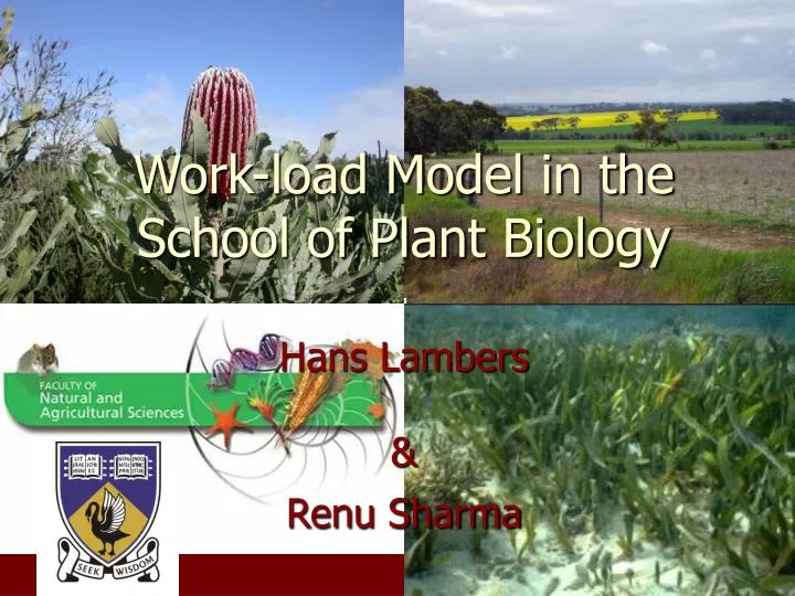 work load model in the school of plant biology hans lambers renu sharma