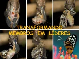 transformando membros em l deres