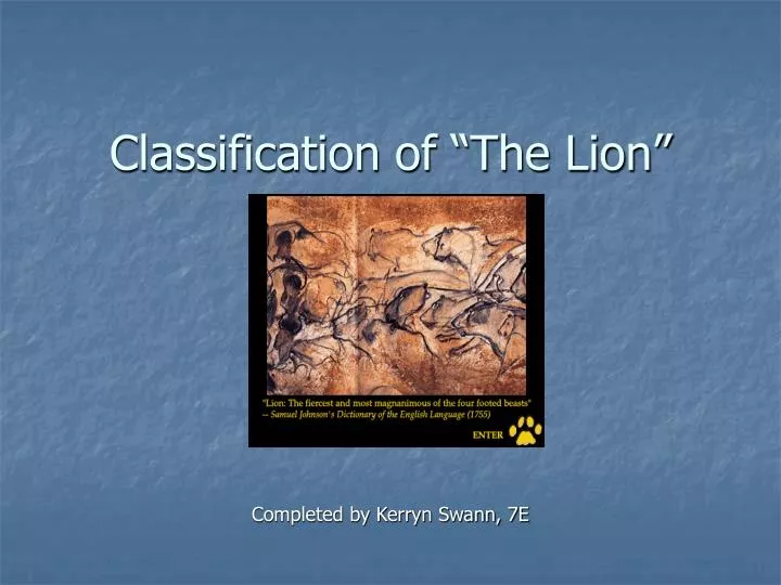 classification of the lion