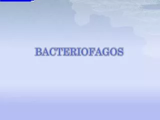 bacteriofagos
