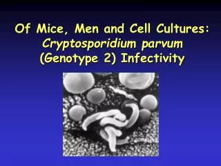 Of Mice, Men and Cell Cultures: Cryptosporidium parvum (Genotype 2) Infectivity