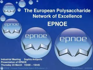 The European Polysaccharide Network of Excellence EPNOE