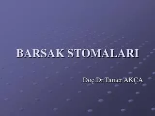 barsak stomalari