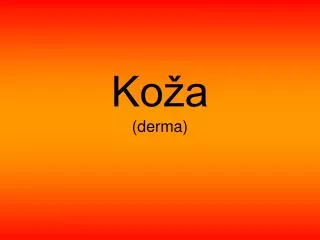 Koža (derma)