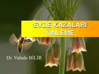 evde kazalari nleme