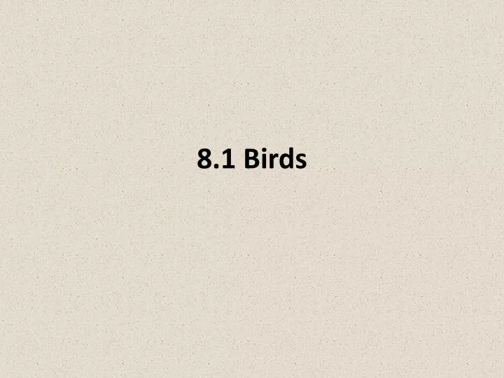 8 1 birds