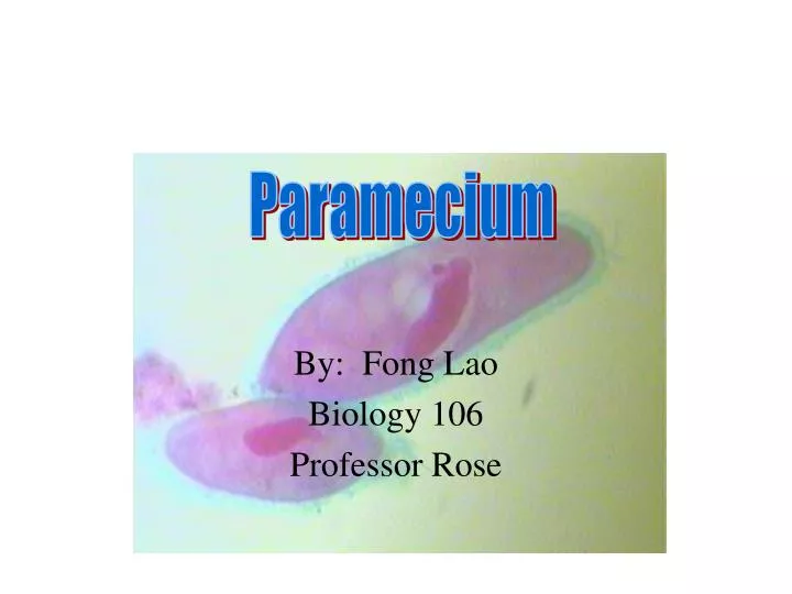 by fong lao biology 106 professor rose