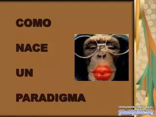 como nace un paradigma