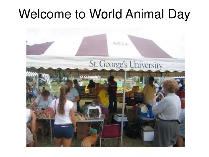 welcome to world animal day