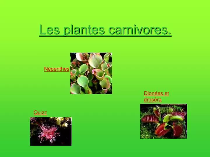 les plantes carnivores