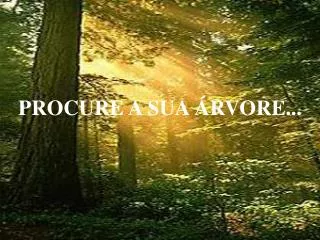 procure a sua rvore