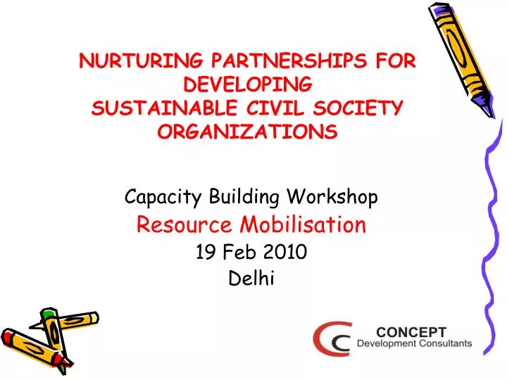 nurturing partnerships for developing sustainable civil society organizations