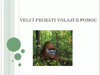 velc prim ti volaj o p omoc