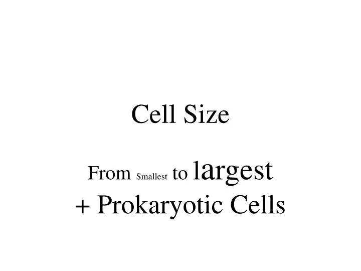cell size