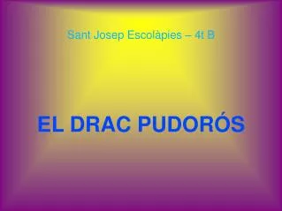 el drac pudor s