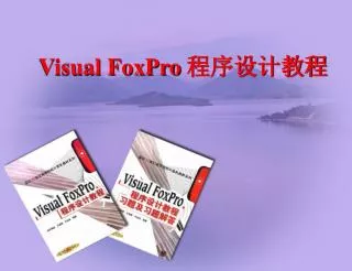 visual foxpro