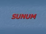 SUNUM - slide 1