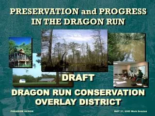 PRESERVATION and PROGRESS IN THE DRAGON RUN DRAFT DRAGON RUN CONSERVATION OVERLAY DISTRICT