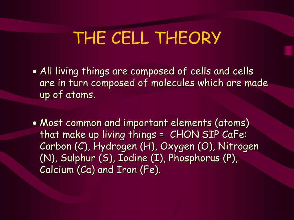 PPT - THE CELL THEORY PowerPoint Presentation, free download - ID:4904837