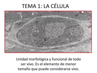 tema 1 la c lula