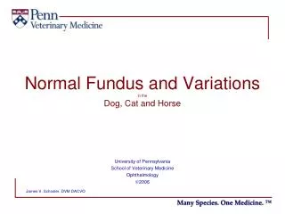 Normal Fundus and Variations in the Dog, Cat and Horse