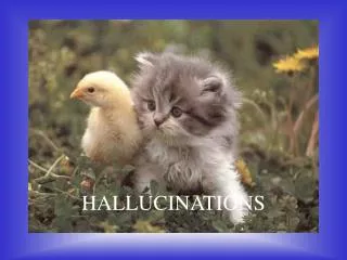 hallucinations