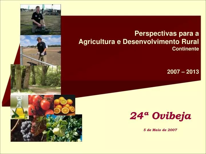 perspectivas para a agricultura e desenvolvimento rural continente 2007 2013