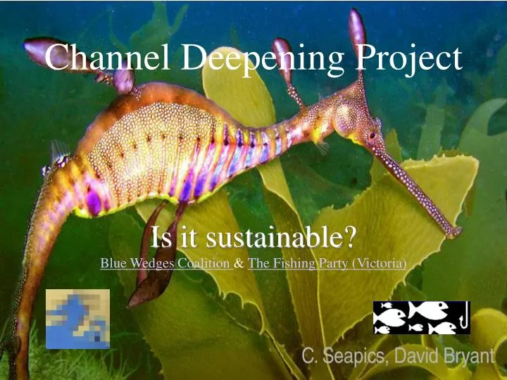 channel deepening project is it sustainable blue wedges coalition the fishing party victoria