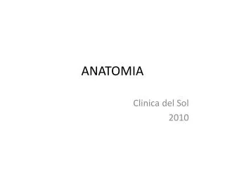 anatomia