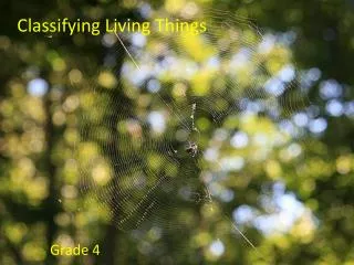 classifying living things
