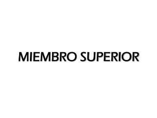 miembro superior