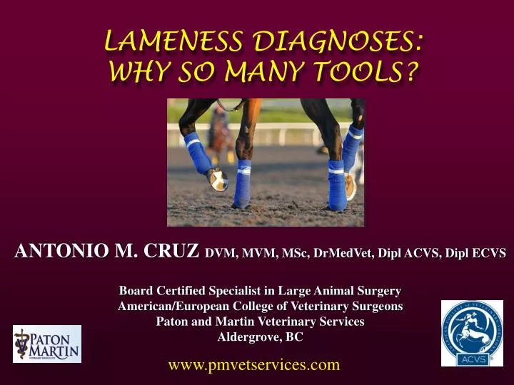 lameness diagnoses why so many tools