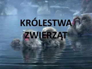 kr lestwa zwierz t