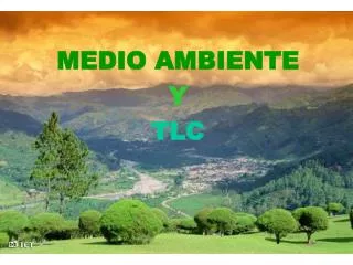 medio ambiente y tlc