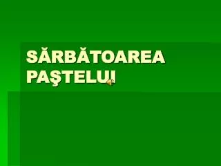 s rb toarea pa telui
