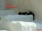 IOS - slide 1