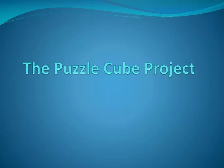 the puzzle cube project