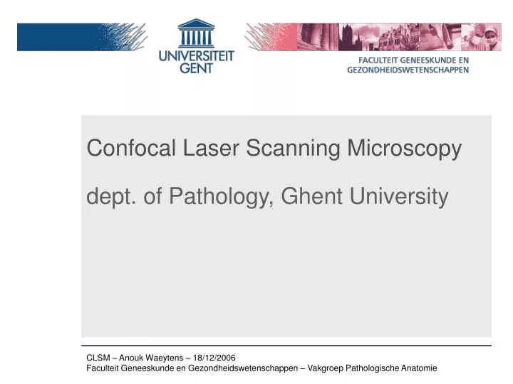 confocal laser scanning microscopy