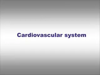 Cardiovascular system