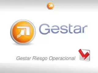 gestar riesgo operacional
