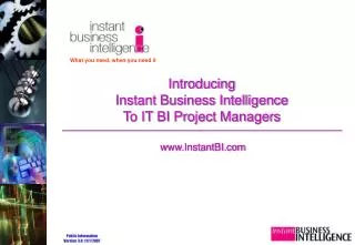 Introducing Instant Business Intelligence To IT BI Project Managers