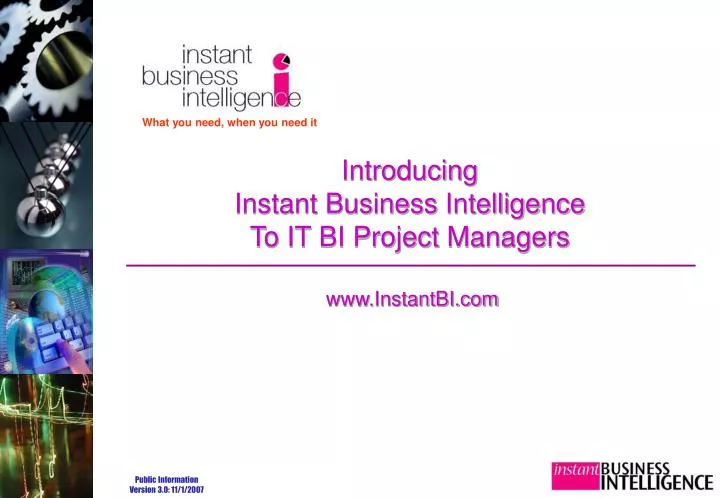introducing instant business intelligence to it bi project managers