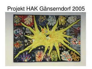 projekt hak g nserndorf 2005