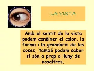la vista