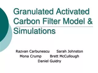 Granulated Activated Carbon Filter Model &amp; Simulations