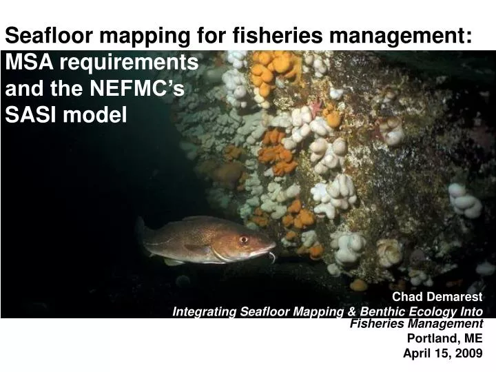 seafloor mapping for fisheries management msa requirements and the nefmc s sasi model
