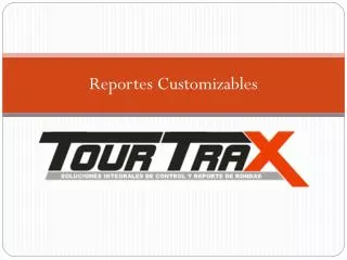 reportes customizables