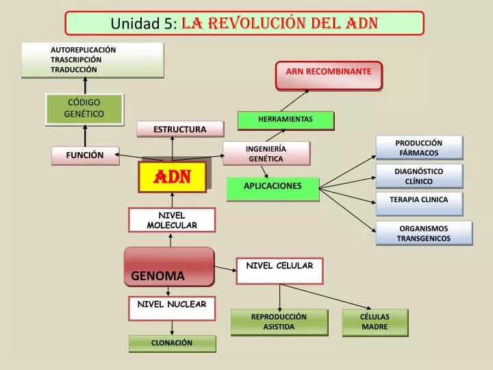 unidad 5 la revoluci n del adn
